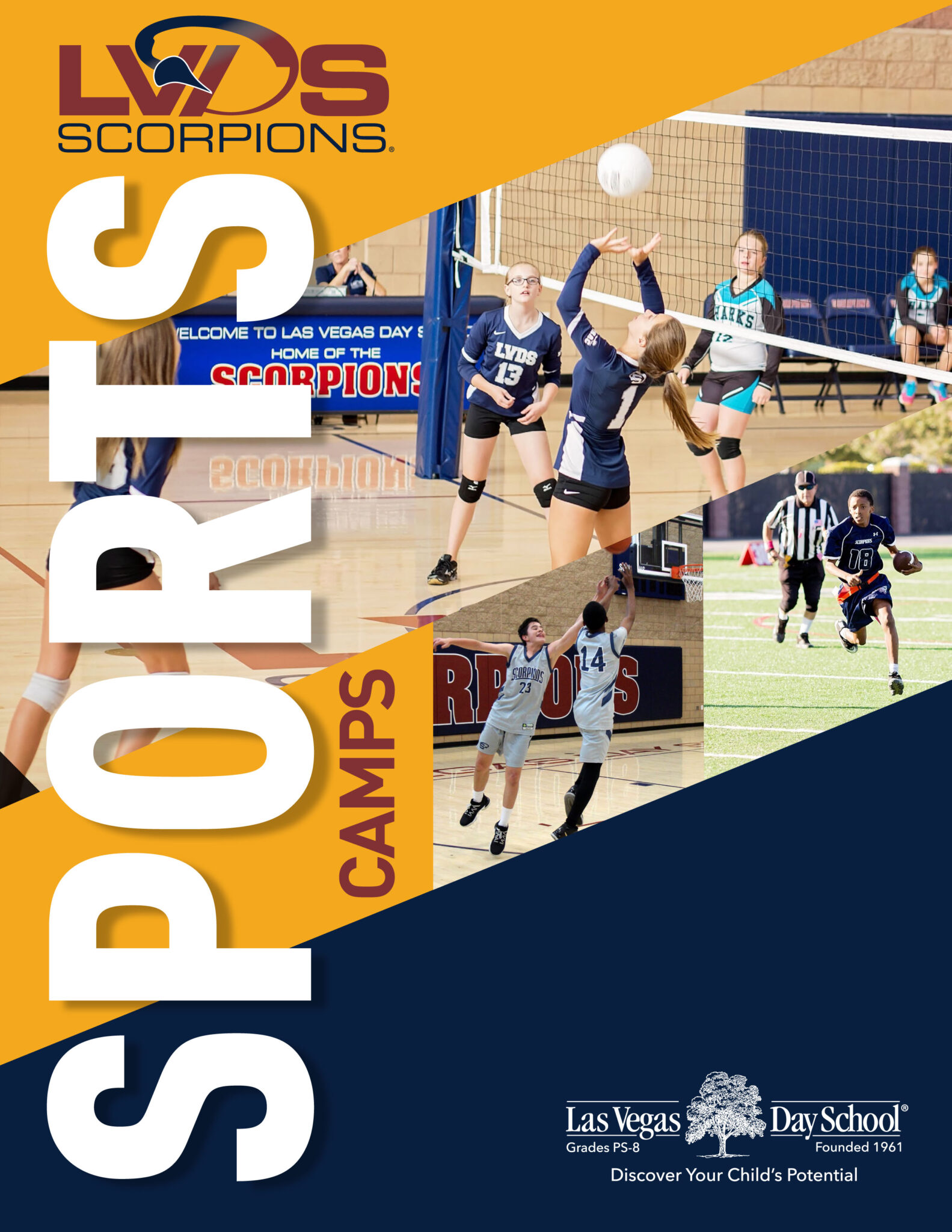 Girls Volleyball+ XTreme Camp May 30June 2 Las Vegas Day School
